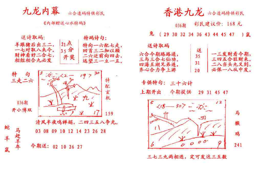 036期九龙内幕[图]