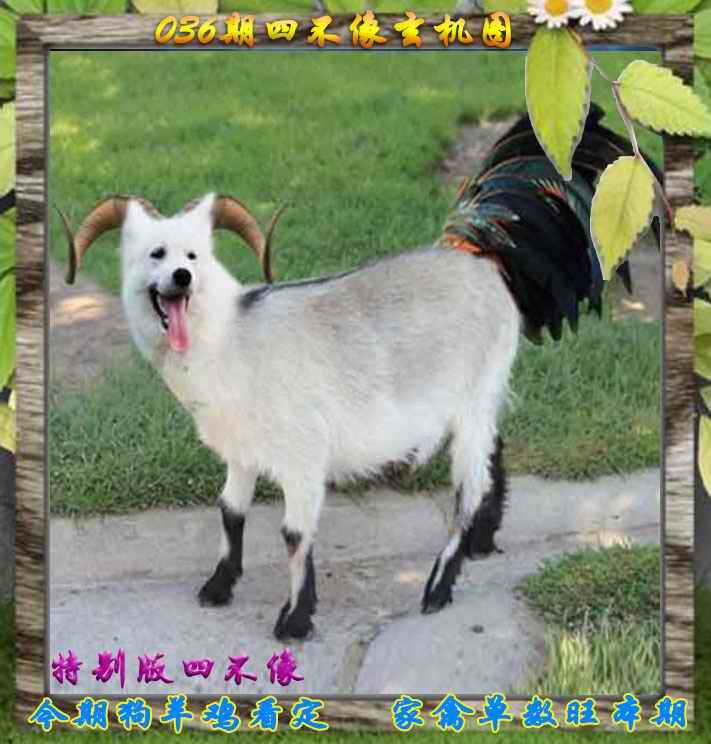 036期四不像特别版[图]